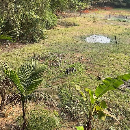 Hostelexp, Gokarna - A Slow-Paced Backpackers Community エクステリア 写真