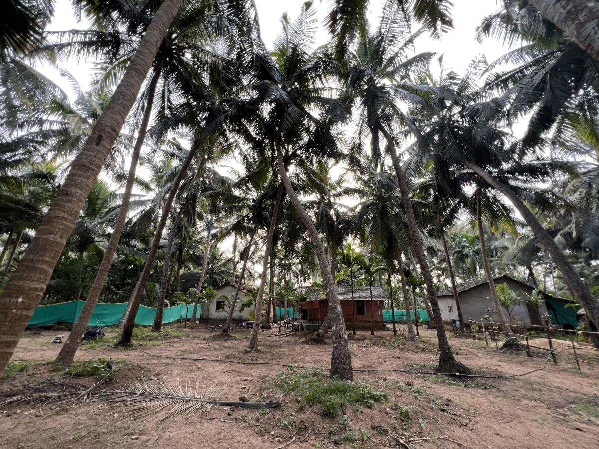 Hostelexp, Gokarna - A Slow-Paced Backpackers Community エクステリア 写真