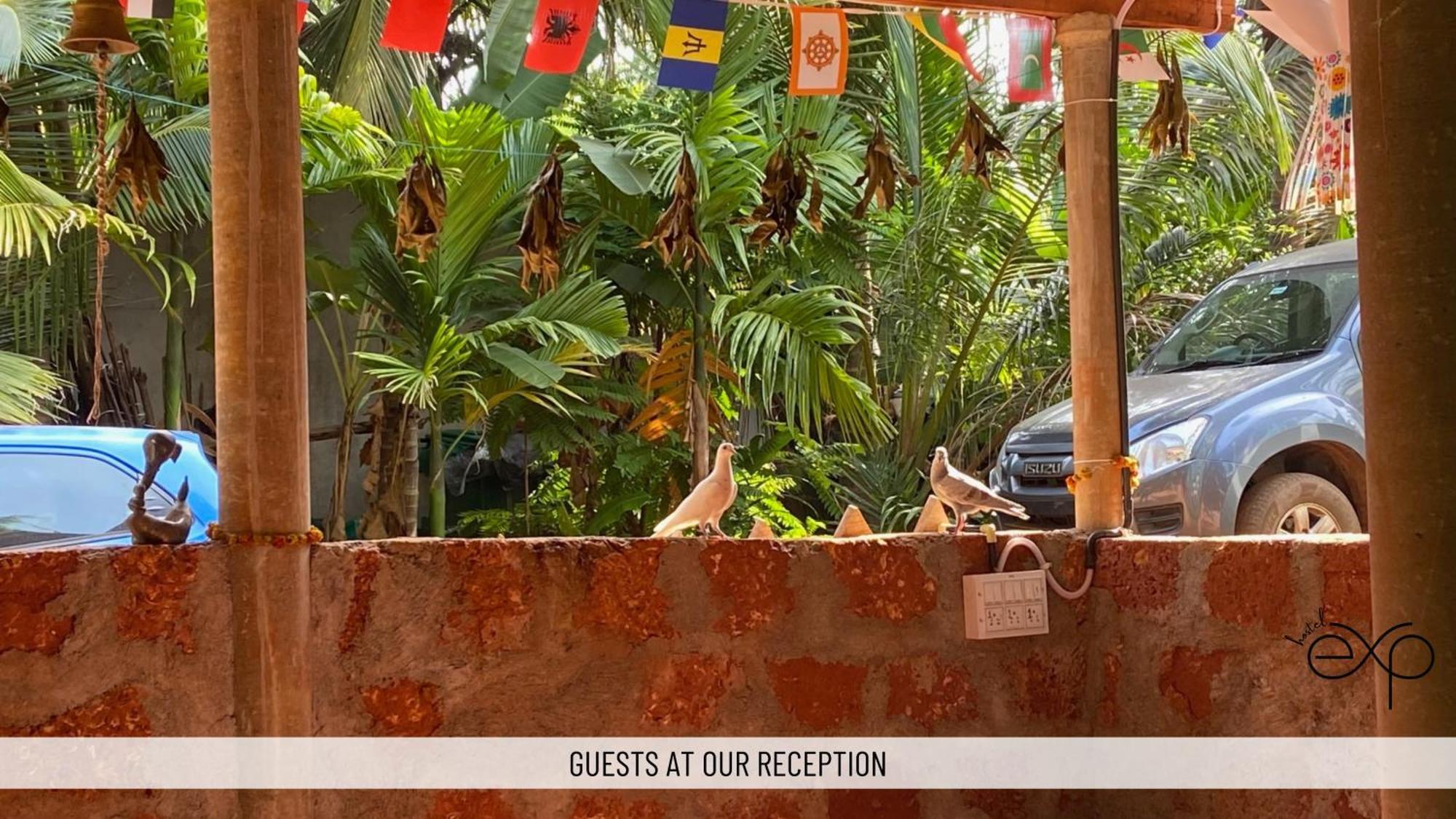 Hostelexp, Gokarna - A Slow-Paced Backpackers Community エクステリア 写真