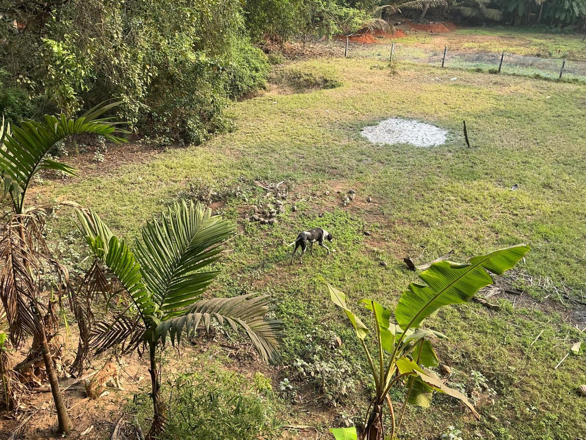 Hostelexp, Gokarna - A Slow-Paced Backpackers Community エクステリア 写真